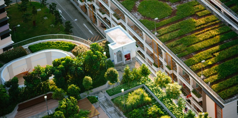 Gallery – Green Development Standards